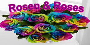 Rosen und Roses  Murdocksengel